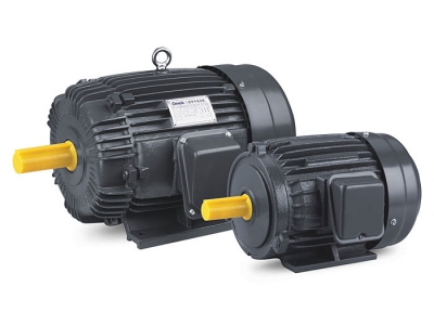 AEEF Series Three Phase Induction Motors 